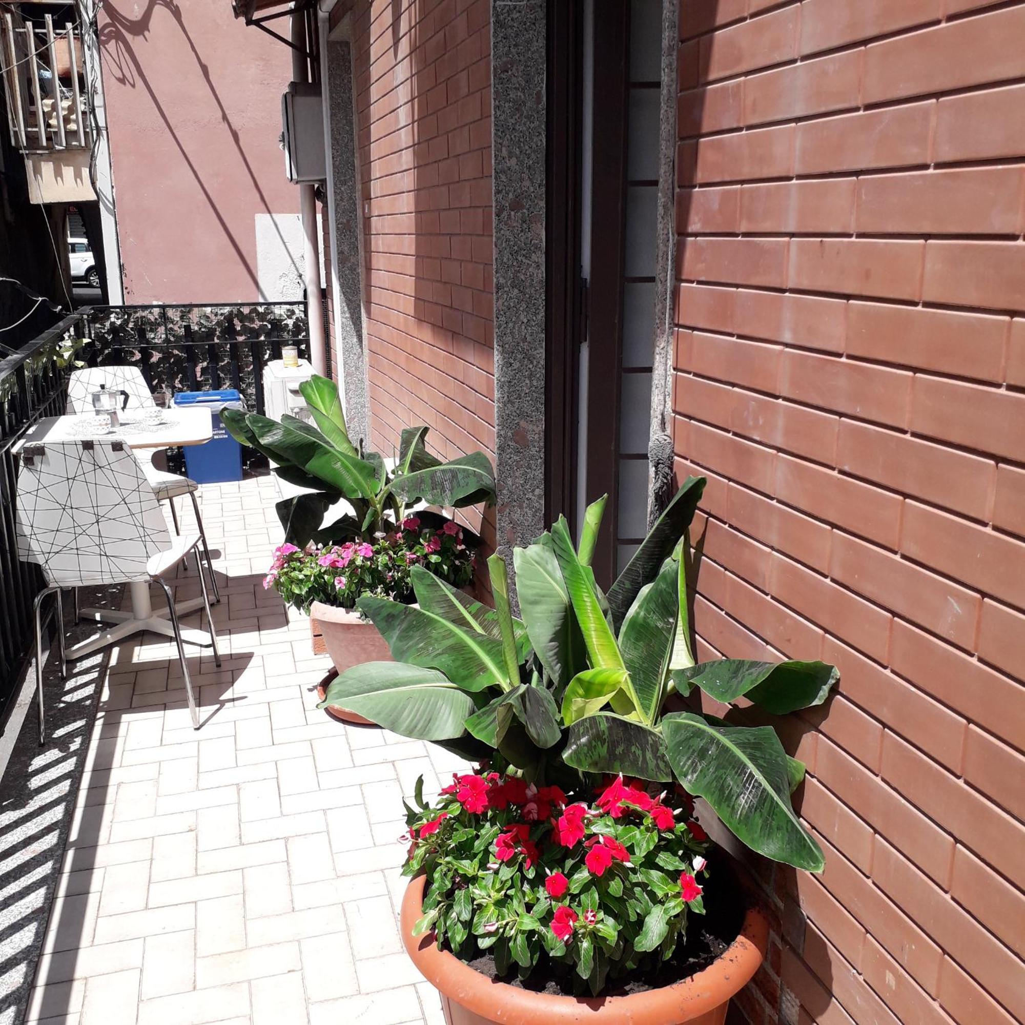 Le Case Del Cortile カターニア エクステリア 写真