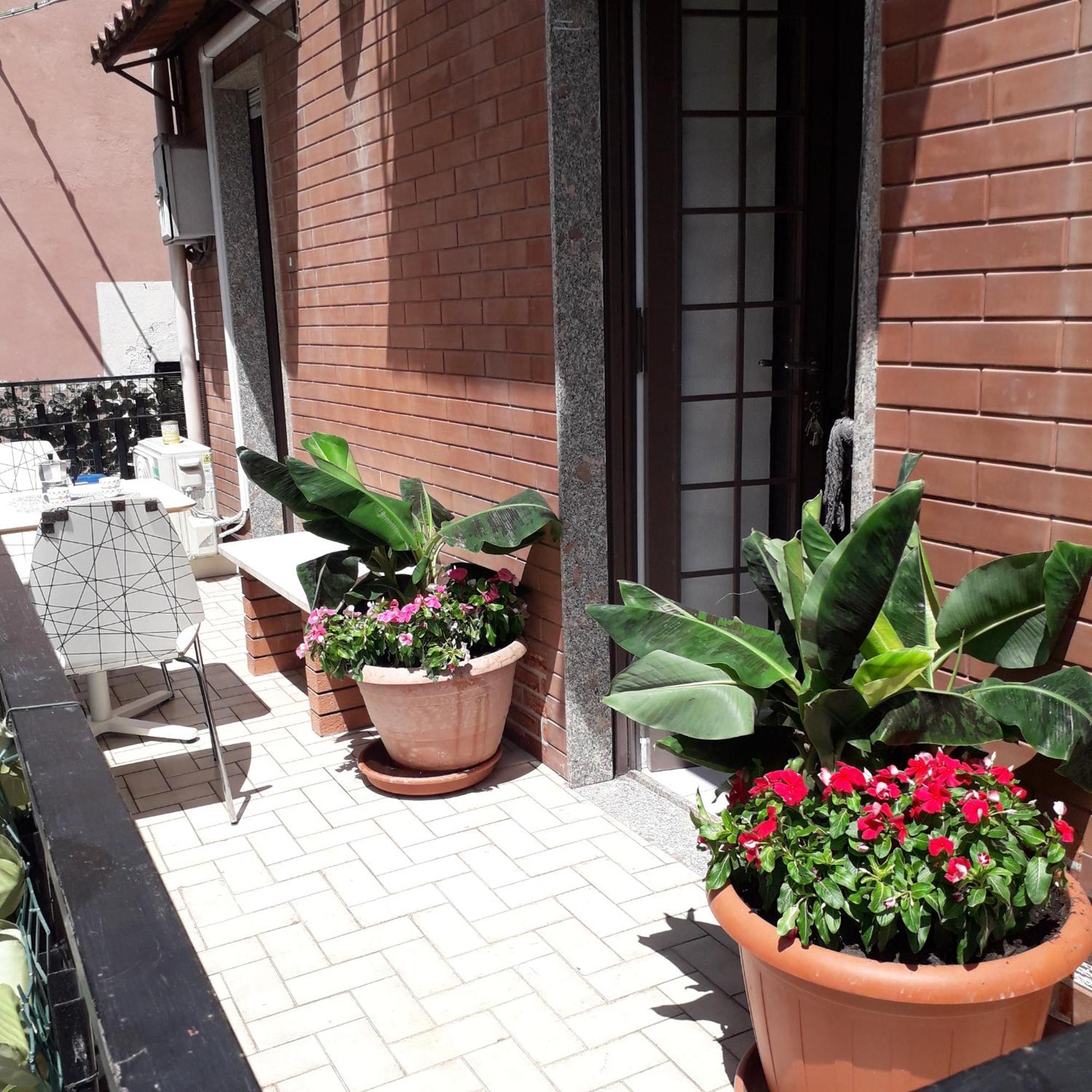 Le Case Del Cortile カターニア エクステリア 写真