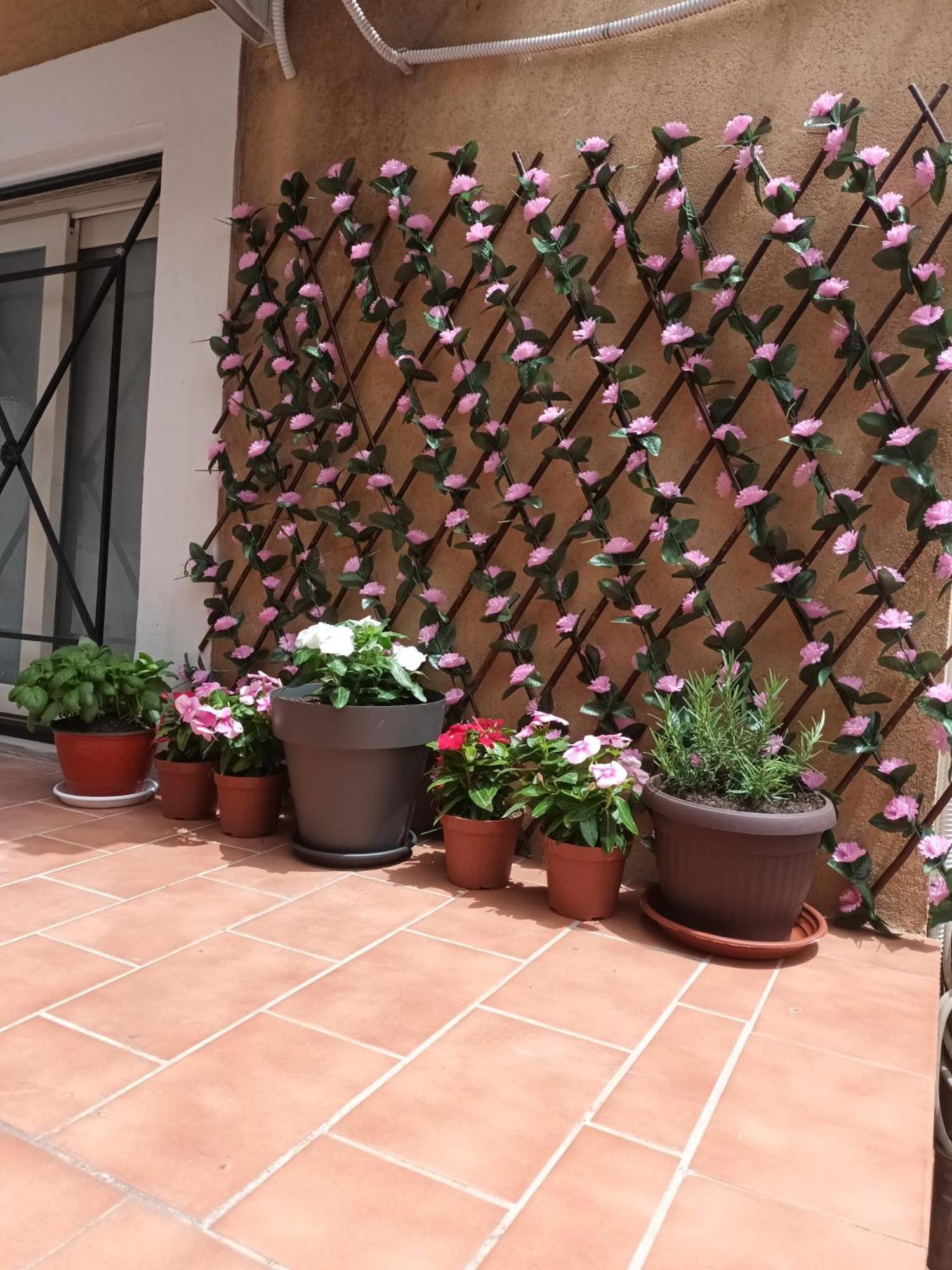 Le Case Del Cortile カターニア エクステリア 写真